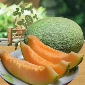 如何坐火车吃哈密瓜呢视频,火车上轻松享用哈密瓜的实用攻略