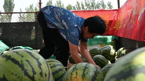 界首观止小三吃瓜视频,揭秘婚姻背后的惊人真相