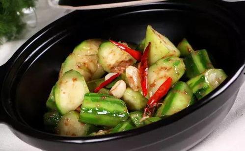 药瓜可以做菜吃吗视频,探索药瓜的烹饪新天地