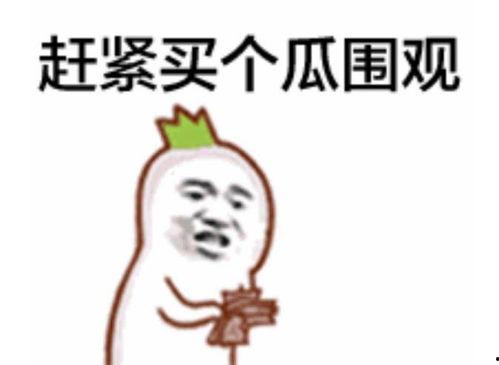 吃瓜群众小玖儿视频在哪看,小玖儿吃瓜视频观看攻略，一网打尽热门内容！