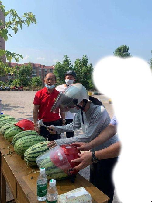 唐山吃瓜视频在线观看,揭秘网络热点背后的真相