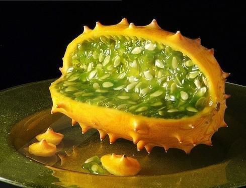 角瓜能不能晒干吃呢视频,传统美味新尝试