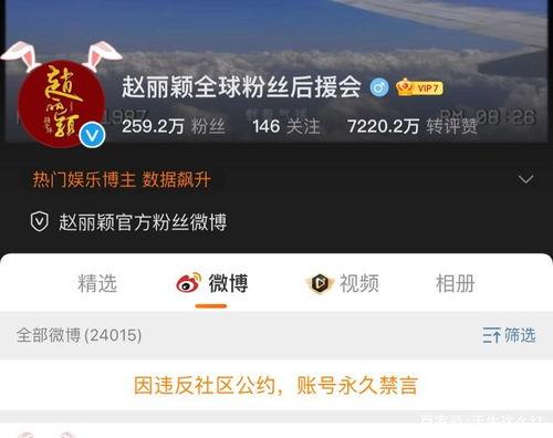 吃瓜怎么吃得更快视频教程,跟着教程轻松学会快速吃瓜技巧